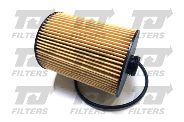 Oil Filter (QFL0366)