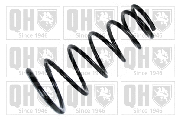 Suspension Spring (QCS8049)