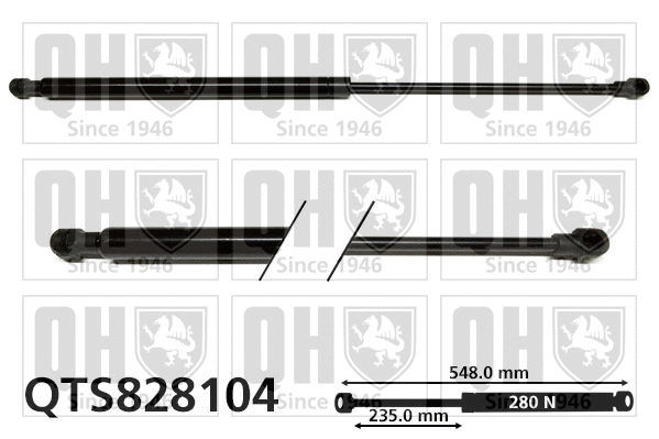 Gas Spring, boot/cargo area (QTS828104)