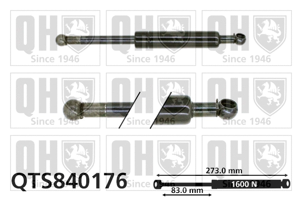 Gas Spring, boot/cargo area (QTS840176)