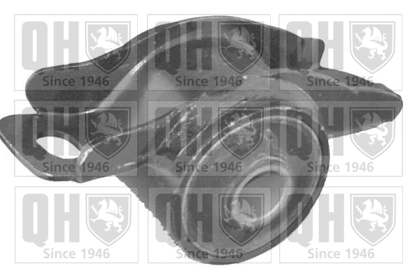 Mounting, control/trailing arm (EMS8059)