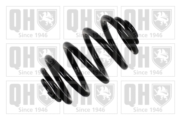 Suspension Spring (QCS7362)