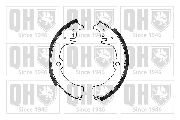 Brake Shoe Set (BS702)