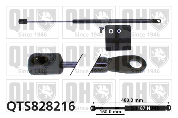 Gas Spring, rear window (QTS828216)