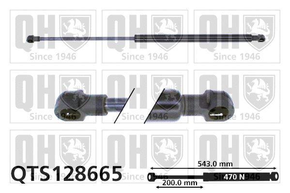 Gas Spring, boot/cargo area (QTS128665)