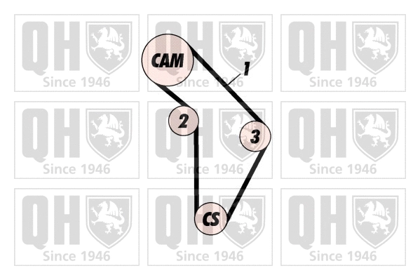 Timing Belt Kit (QBK290)