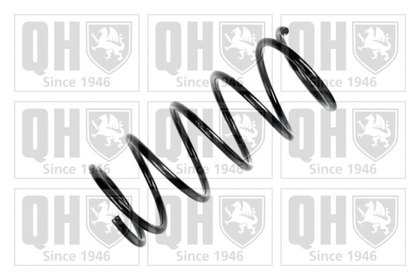 Suspension Spring (QCS6297)