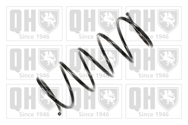 Suspension Spring (QCS6831)