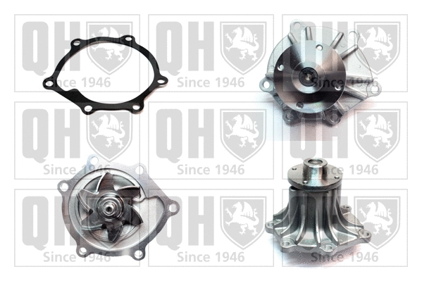 Water Pump, engine cooling (QCP3847)