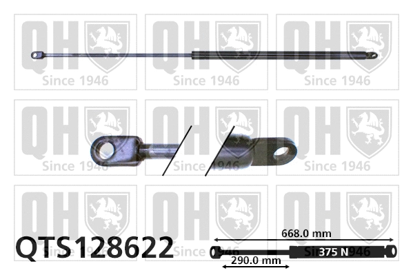 Gas Spring, bonnet (QTS128622)