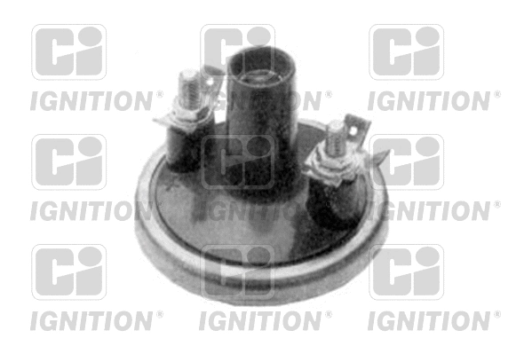 Ignition Coil (XIC8046)