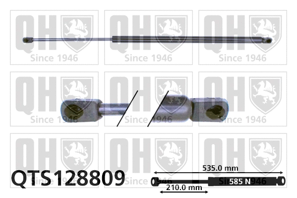 Gas Spring, boot/cargo area (QTS128809)
