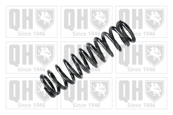 Suspension Spring (QCS6324)