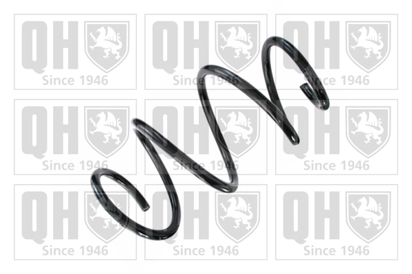 Suspension Spring (QCS8655)