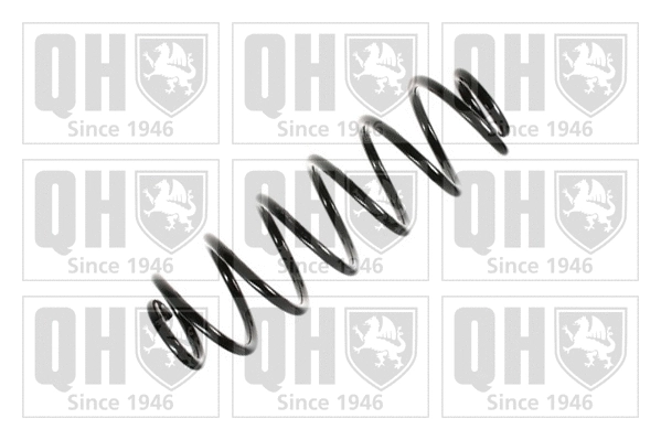 Suspension Spring (QCS7244)