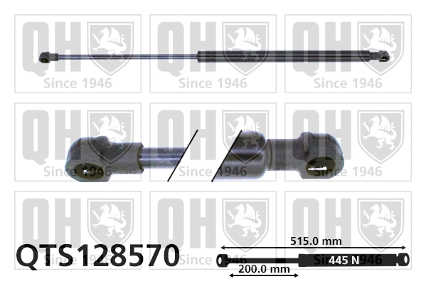Gas Spring, boot/cargo area (QTS128570)