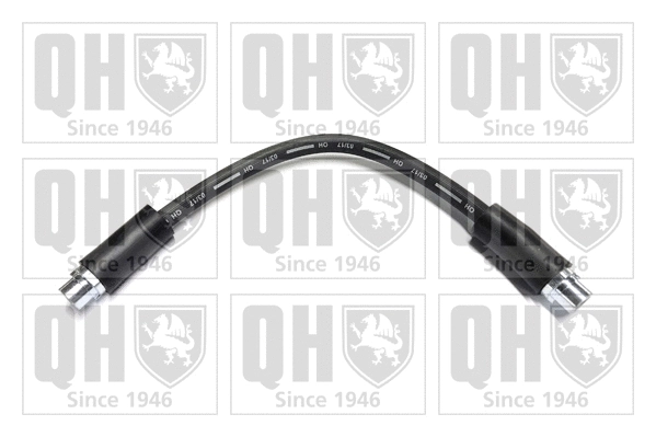 Brake Hose (BFH4919)