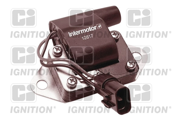 Ignition Coil (XIC8075)