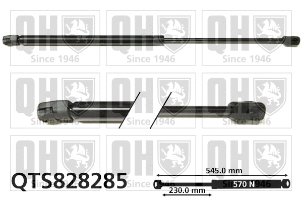 Gas Spring, boot/cargo area (QTS828285)
