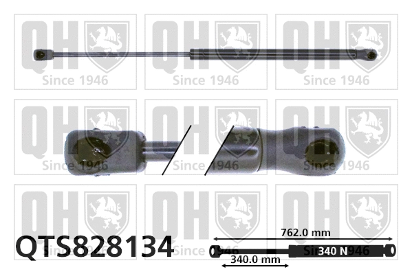 Gas Spring, bonnet (QTS828134)