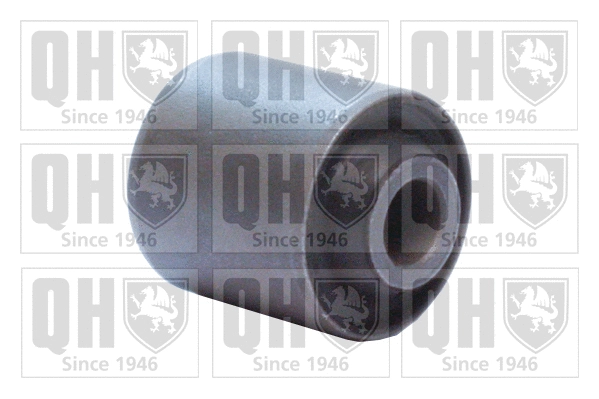 Mounting, control/trailing arm (EMS8503)