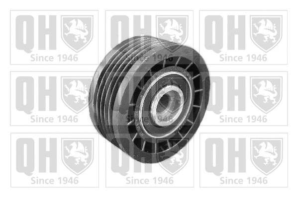 Deflection/Guide Pulley, V-ribbed belt (QTA731)