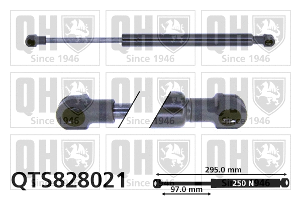 Gas Spring, boot/cargo area (QTS828021)