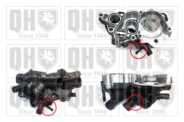 Water Pump, engine cooling (QCP3863BH2)