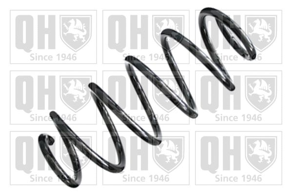 Suspension Spring (QCS5832)