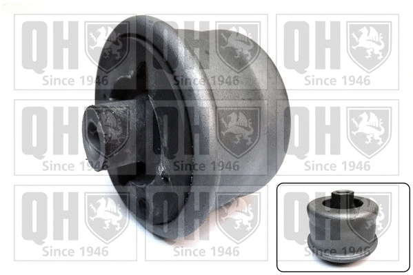Mounting, control/trailing arm (EMS8154)