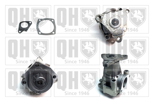 Water Pump, engine cooling (QCP3406)