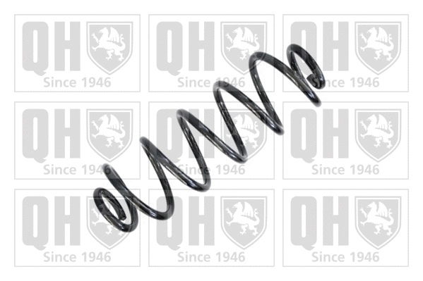 Suspension Spring (QCS6647)