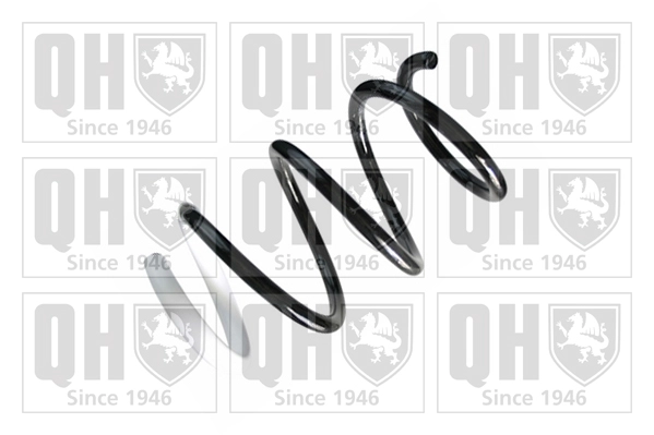 Suspension Spring (QCS8380)