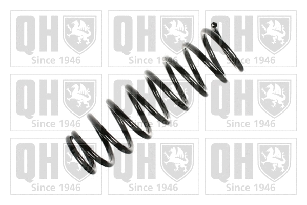 Suspension Spring (QCS8189)