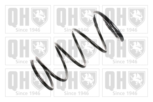 Suspension Spring (QCS6252)