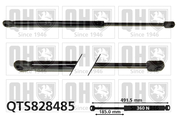 Gas Spring, boot/cargo area (QTS828485)