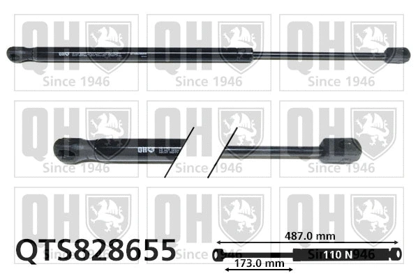Gas Spring, boot/cargo area (QTS828655)