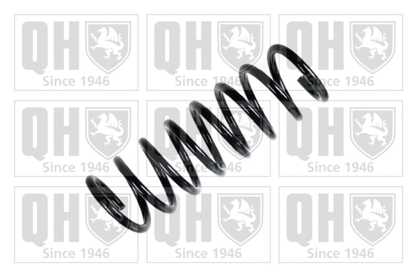 Suspension Spring (QCS5854)