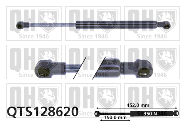 Gas Spring, bonnet (QTS128620)
