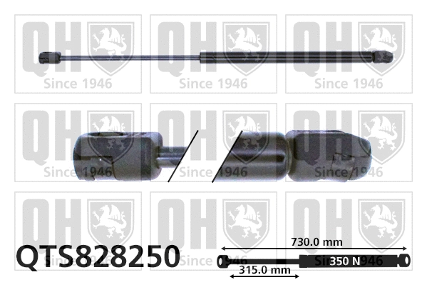 Gas Spring, bonnet (QTS828250)
