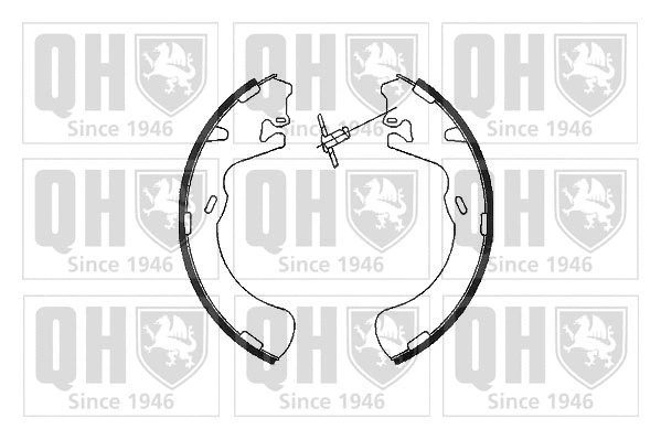 Brake Shoe Set (BS1079)