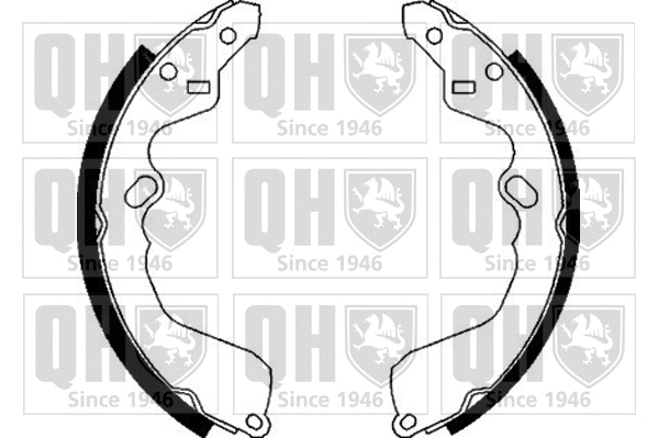 Brake Shoe Set (BS1091)