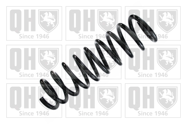 Suspension Spring (QCS8449)