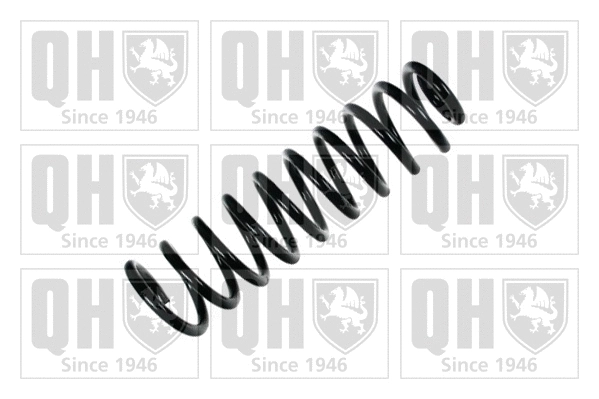 Suspension Spring (QCS7694)