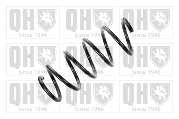 Suspension Spring (QCS6890)