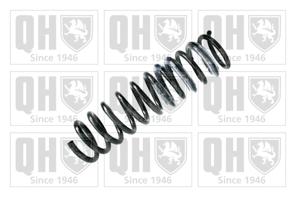 Suspension Spring (QCS5392)