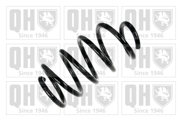 Suspension Spring (QCS6967)