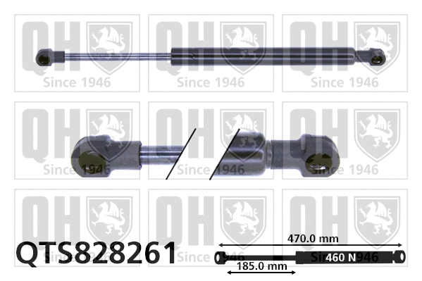Gas Spring, boot/cargo area (QTS828261)