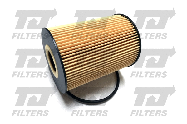 Oil Filter (QFL0356)