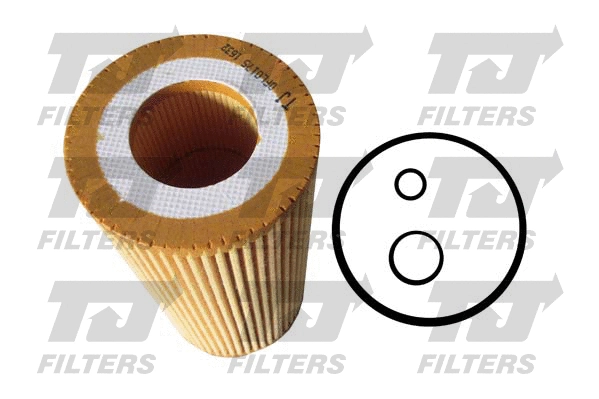 Oil Filter (QFL0175)